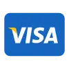 icons8-visa-100