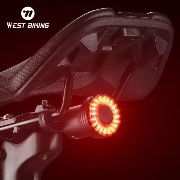 Luz trasera Inteligente